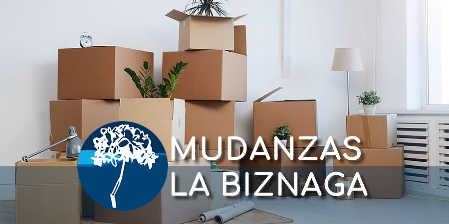 mudanzas-malaga-embalaje Mudanzas Malaga Empresa